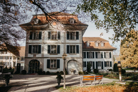 Time-out for parents of a survivor